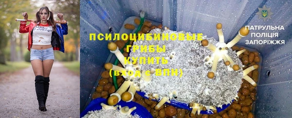 тгк Аркадак