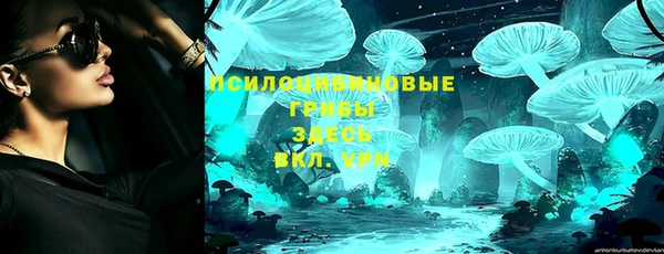 тгк Аркадак