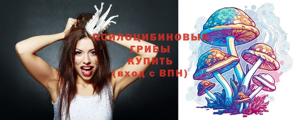 винт Арсеньев