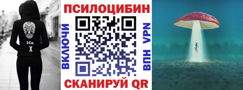 Псилоцибиновые грибы MAGIC MUSHROOMS  kraken сайт  Зима  купить наркоту 